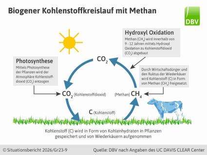 Biogener Kohlenstoffkreislauf mit Methan
