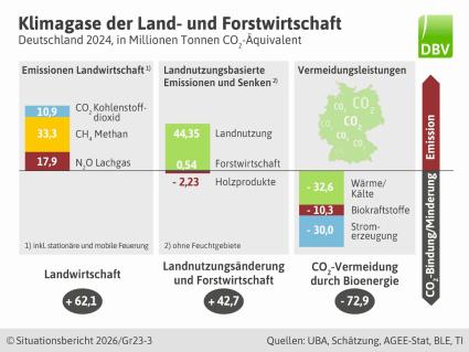 Bild3.jpg