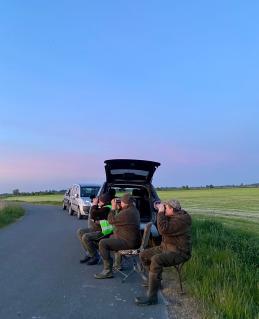 Feldvogelsuche in Niedersachsen