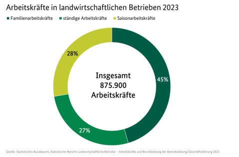 Arbeitskräfte in landwirtschaftlichen Betrieben 2023