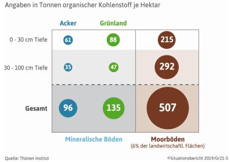 Kohlenstoff_Boden.JPG