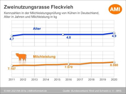Bild6.jpg