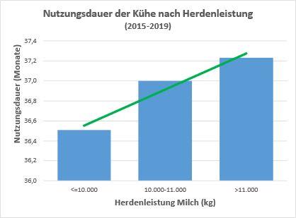 Bild_8.jpg