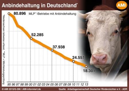 02_AMI-Anbindehaltung.jpg