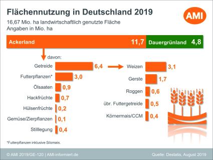 02_AMI_GE-120_Flaechennutzung_in_Deutschland_2019.jpg