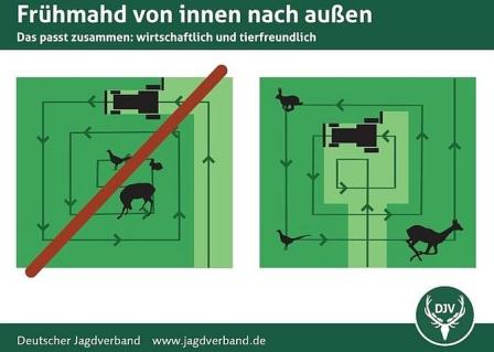 Fruehmahd.jpg