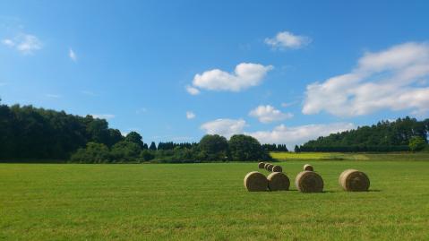 straw-bales-171614_1920_pixabay_Heike_Georg.jpg
