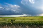 Feld mit dunklen Wolken