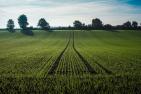 A2_agriculture-2539967_c_Derks24_pixabay