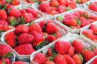 A5_strawberries-1350482_c_Couleur_pixabay.jpg