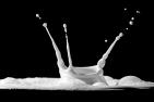 Milchfontäne und Tropfen
