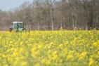 field-4133940_c_Ehrecke_pixabay.jpg