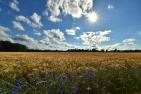 landscape-4320380_1920_pixabay-HelgaKa.jpg