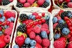 berries-1546125_c_Couleur_pixabay.jpg