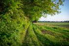 nature-5220632_c_ramonaluimes_pixabay.jpg