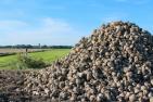 countryside-3472394_1920_pixabay-alkemade.jpg