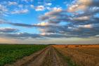 nature-213364_1920_pixabay-Wolfgang_Borchers.jpg