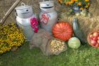 thanksgiving-362910_1920_pixabay_Andi_Graf.jpg