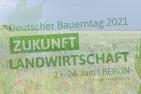 Bluehstreifen-DBT.jpg