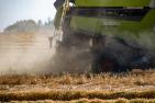 harvest-6475440_c_Hannemann_DBV.jpg