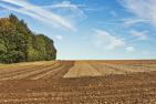 arable-1918990_1920_pixabay-andreas160578.jpg