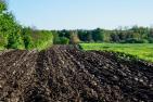 arable-3442666_1920_pixabay_Fritz_the_Cat.jpg