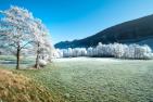 field-4739176_c_adege_pixabay.jpg