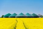 AdobeStock_32308168_gekauft_Stephan_Leyk.jpeg