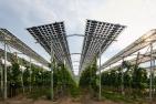 Hoch-aufgestaenderte-Agri-PV-Anlage.jpg