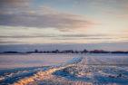 fields-7649505_1920_pixabay_fietzfotos.jpg