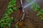 water-sprinklers-880970_1920_pixabay-Holger_Schue.jpg
