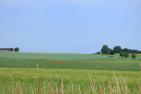 P1080011_20190701Schwarzwald_Zippel_bea.jpg
