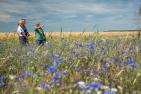 Wittbrietzen_agora-natura_Foto-Karkow-KK_20190618_5D3_7273.jpg
