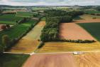 fields-7032993_1920_pixabay_orko46.jpg