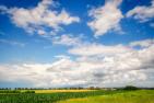cornfield-6570699_1920_pixabay_fietzfotos.jpg