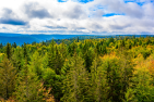 AdobeStock_294559366_Simon_Dannhauer.png