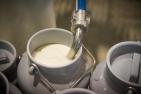 milk-4133945_1920_pixabay-WolfgangEhrecke.jpg