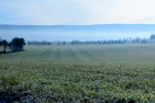 landscape-1882348_1920_pixabay-Hans_Linde.png
