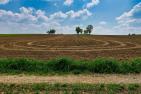 fields-4565519_pixabay_hhach_kl.jpg