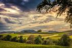fields-6268162_1920_pixabay_Franz26.jpg