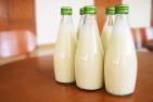 milk-1223800_pixabay_falovelykids.jpg